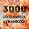 3000 followers