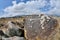 3000 years old ancient petroglyphs,rock paintings depicting mountain goat,Cholpon Ata, Issyk-Kul lake shore, Kyrgyzstan,Central As