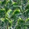 305 Tropical Leaves: A tropical and lush background featuring vibrant and exotic tropical leaves in rich and saturated colors th