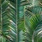 305 Tropical Leaves: A tropical and lush background featuring vibrant and exotic tropical leaves in rich and saturated colors th