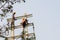 30th December, 2021, Baraipur, West Bengal, India: Two workers installing electric pole beside road and connecting with aluminum