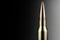 A 338 Lapua Magnum rifle cartridge