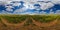 360 degree spherical panorama of summer day blossomong yellow rapseed colza field in eqirectangular projection