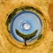 360 degree view of Landscape with tree in Africa