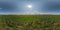 360 hdri panorama view among farming fields with sun without clouds in clear sky in full seamless equirectangular spherical