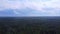 360 view at a bird`s eye view. Dense green forest with a wet road after rain.