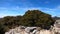 360Â° panoramic view on Mount Stokes, Marlborough Sounds, South Island, New Zealand.