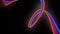 3d abstract looped 4k background with glow lines. Multi-colored neon lines fly in air, smoothly oscillation and wave