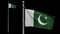 3D, Alpha channel Pakistani flag waving on wind. Pakistan banner blowing