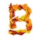 3d alphabet, uppercase letter B made of leaves, 3d rendering, autumn