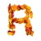 3d alphabet, uppercase letter R made of leaves, 3d rendering, autumn