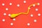 3D anatomical model of sperm cell or spermatozoon is on red background surrounded by white pills ornament polka dots. Photo concep