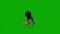 3d animated little kindergarten boy on green screen playing and talking and active in chroma key background