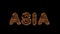 3d animated text spelling Asia, made of fury Tiger striped letters