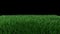 3D animation, classic soccer ball rolling across a green field.