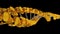 3d animation DNA gold chain