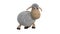 3d animation of funny white sheep