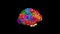 3D Animation of Human Brain. Neural Network Iridescent