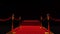 3d animation of long red carpet between rope barriers with stair at the end.