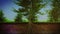 3d animation Planting seeding growing up to big trees.