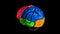 3d animation of the various colored parts of the brain