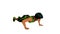 3D animation of a woman in green and black fitness gear doing push-ups.