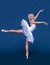 3D Ballerina in light classic pointe shoes