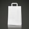 3d blank shopping bag