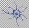 3d Blue human neuron on transparent background. Realistic illustration. Template