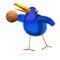 3d Bluebird plays basketball