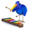 3d Bluebird plays a xylophone