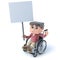 3d Boy in wheelchaird holding a placard