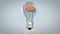 3d brain rotating inside a light bulb, great mind concept, loop, Luma Matte