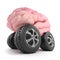 3d Brain on wheels