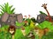 3d cartoon wild jungle animals