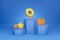 3D cartoon Winners podium with cups, gold winners, and gold stars isolate blue background