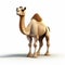 3d Cel Shaded Camel Model In Full Body Perspective