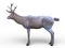 3D CG rendering of Deer