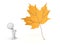 3D Character Looking Up at Large Autumn Leaf