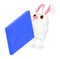 3d character , rabbit and a envelope