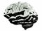 3D chrome metallic brain on white background. 3D Illustration
