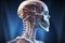 3D close-up illustration of the human cervical spine. Human vertebral column, vertebrae riddled with nerve endings. Back