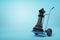 3d close-up rendering of black chess king on blue hand truck on light-blue background.