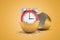 3d close-up rendering of red alarm clock inside of half gold eggshell with the other eggshell behind on ocher background