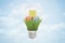 3d closeup rendering of lightbulb with three ABC blocks lying on green grass inside bulb against blue sky with clouds.