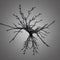 3D computer generated neuron cell with glossy dark reflective surface