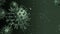 3d Corona - covid19 corona virus spread to world_4K_LOOP green color