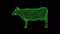 3D Cow on black background. Farm and domestic animals concept. Meat and milk production. Business advertising backdrop