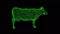 3D Cow rotates on black background. Farm and domestic animals concept. Meat and milk production. Business advertising