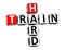 3D Crossword Train white background